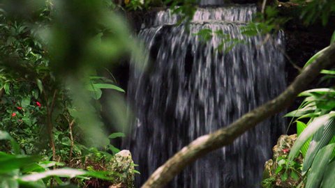 Rio de Janeiro, Brazil - June 2013: Botanical garden waterfall and plants, very close-up and panning slowly. Shot in Rio, Brazil.