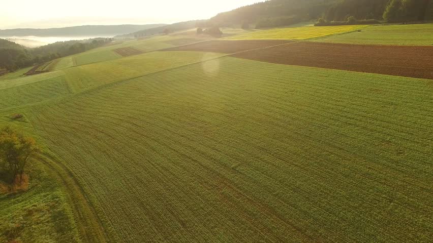 Aerial view of fields and forests at sunrise