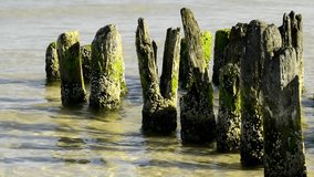 Groins in the Baltic Sea with break-water
