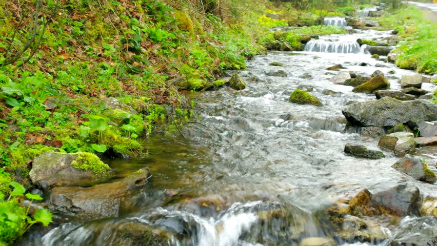 Beautiful Forest Brook Running Over Stock Footage Video (100% Royalty ...