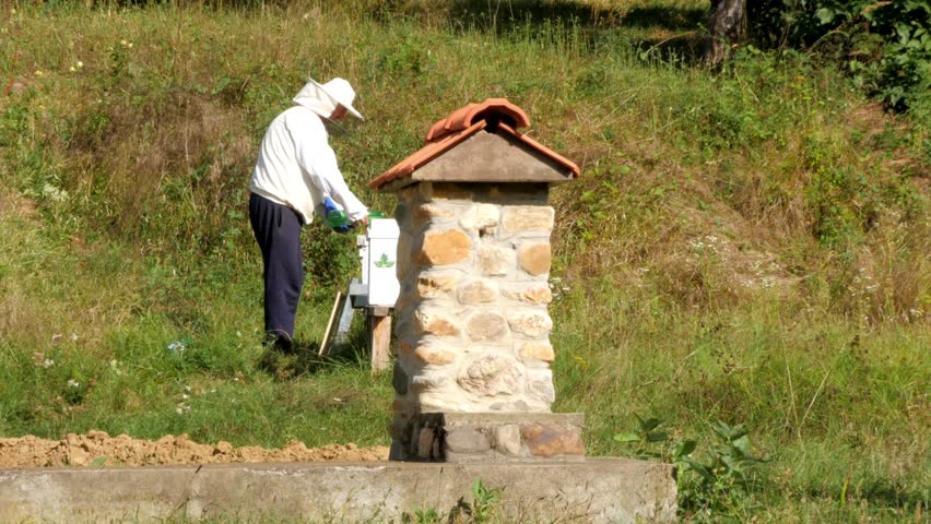 Man with protective clothing standing on meadow removed honeycomb and controlled beehives. National Geography. Food, ecology, environment, weather forecaster, daylight, sunny day, outdoors.