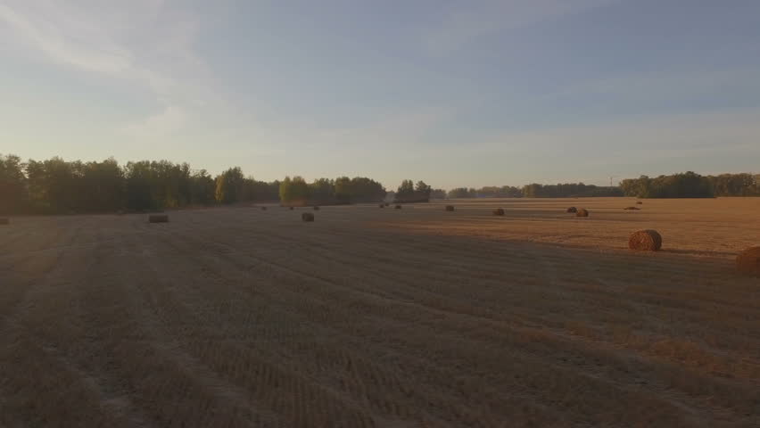 Autmun sloping field with haystacks, aerial shooting