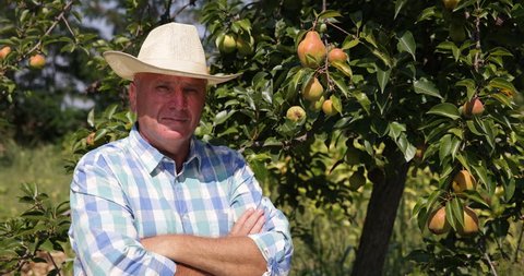 Rustic Farmer Orchard Owner Looking Proud Fruit Trees Harvest Farmland Business ( Ultra High Definition, UltraHD, Ultra HD, UHD, 4K, 2160P, 4096x2160 )