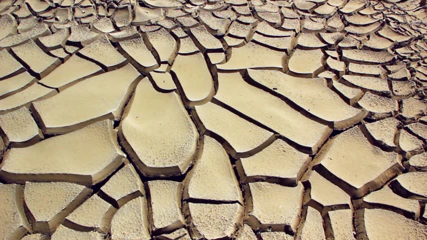 The cracked surface of the desert from the lack of water
