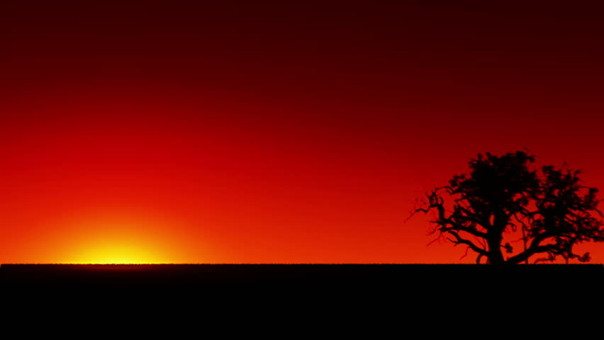golden sunrise in Africa