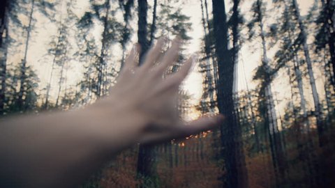 Dizziness. Hallucinations. Blurry Hand In The Background Of The Forest