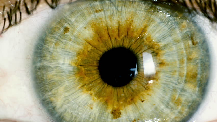 Female green eye close up extreme macro zoom in iris.HD real time extreme close up shot of the wide open human eye of a female.Big zoom in,eye blinking.
