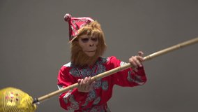 Orange, red monkey symbol 2016, the character in the costume of the Chinese monkey King performs in the Studio in kung fu style, slow motion