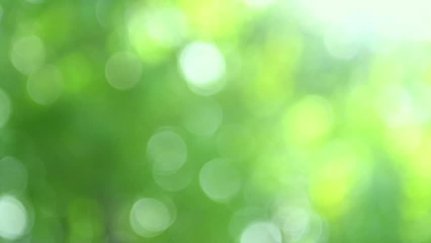 Nature Blurred Green Background Beautiful Sun Stock Footage Video 100