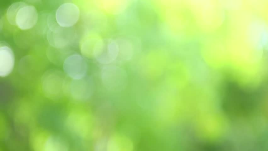 Featured image of post Beautiful Green Background Pictures You can explore in this category and download free green background photos