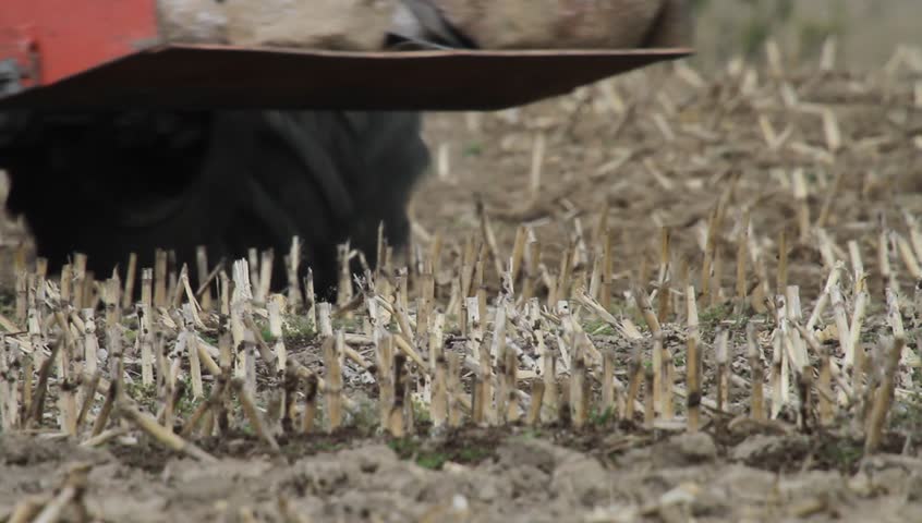 Farmer plows a field