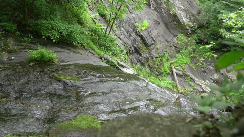Shenandoah national park forest creek and waterfall