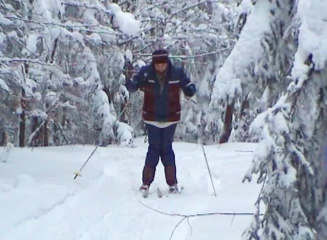 Woman learning cross-country skiing in snowy forest and falling down. Archive video.