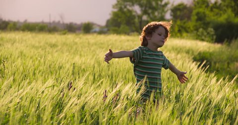Little Dreamer. Funny boy with curly golden hair stands among the wheat field. he set up his hands and enjoying the wind