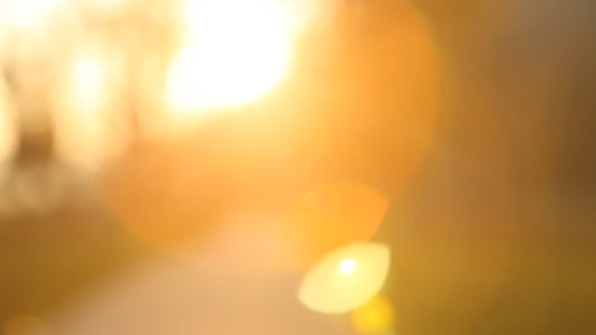 Father and son in the autumn park