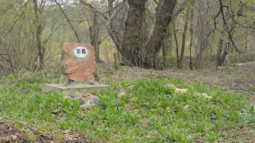Lonely grave of the dog in forest