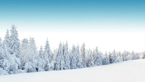 Beautiful Winter Panorama Fresh Powder Snow Stock Photo 510667306 ...