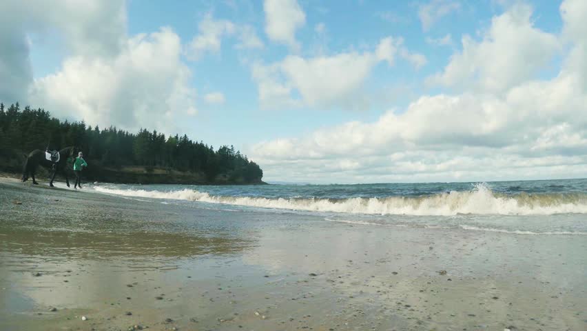 Woman and horse running through the waves on a Cape Breton beach