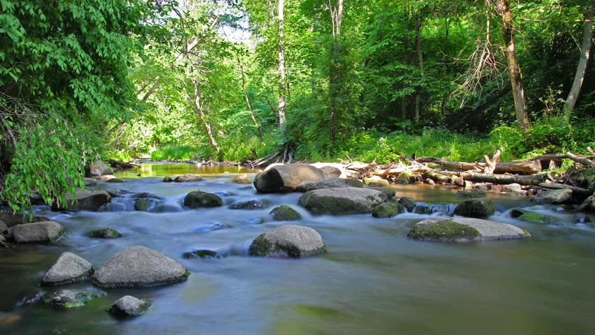 Forest River, motion blur, timelapse