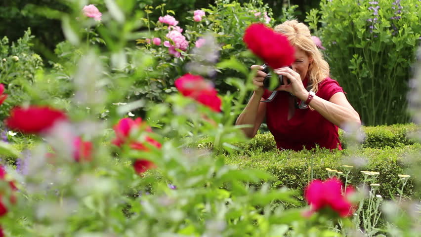 Woman taking photos of flowers in the garden, close up