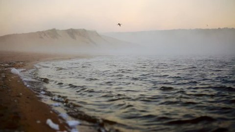 Cinemagraph Loop - Sea mist blows over a beach. Motion photo. Stock Video