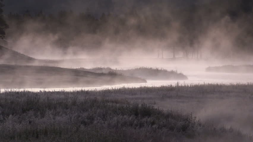 Sunrise on the Madison River Yellowstone N.P.