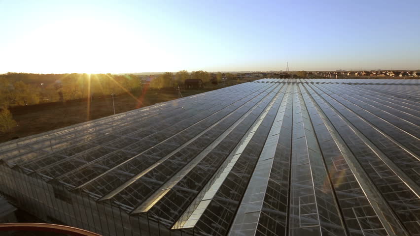 Reflection in glass roof beams large greenhouses. | Shutterstock HD Video #12142493