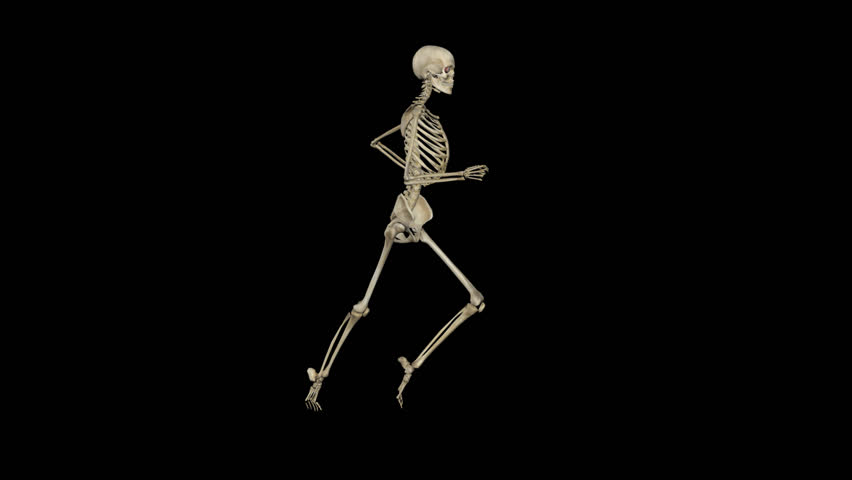 3d Animation Human Skeleton X Ray Blue Stock Footage Video 100
