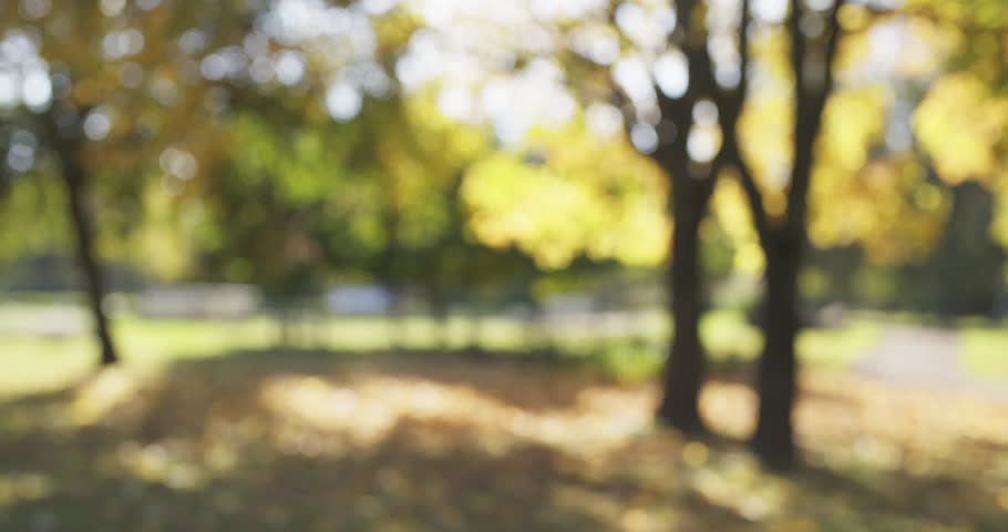 Blurred Background of Autumn Park Stock Footage Video (100% Royalty