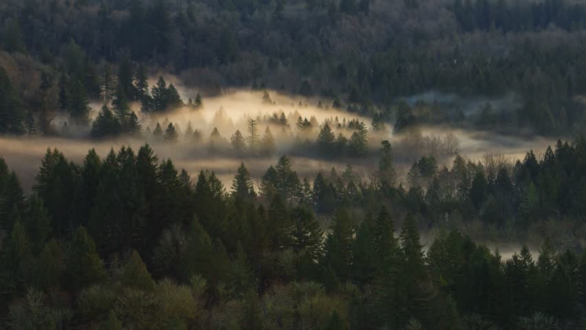 Ultra High Definition 4k Time Lapse Movie of Fast Moving Thick Rolling Fog Over Crooked River from Jonsrud Viewpoint in Sandy Oregon One Early Morning at Sunrise 4096x2304