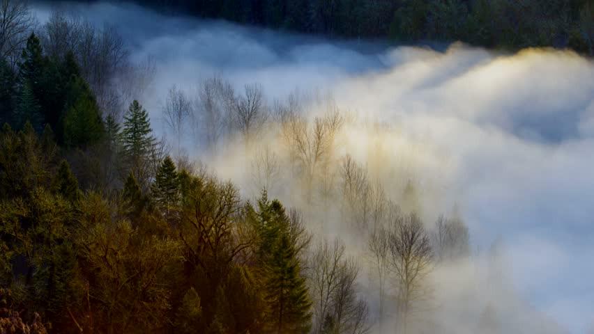 Ultra High Definition 4k Time Lapse Movie of Thick Rolling Fog Over Crooked River from Jonsrud Viewpoint in Sandy Oregon One Early Morning at Sunrise 4096x2304