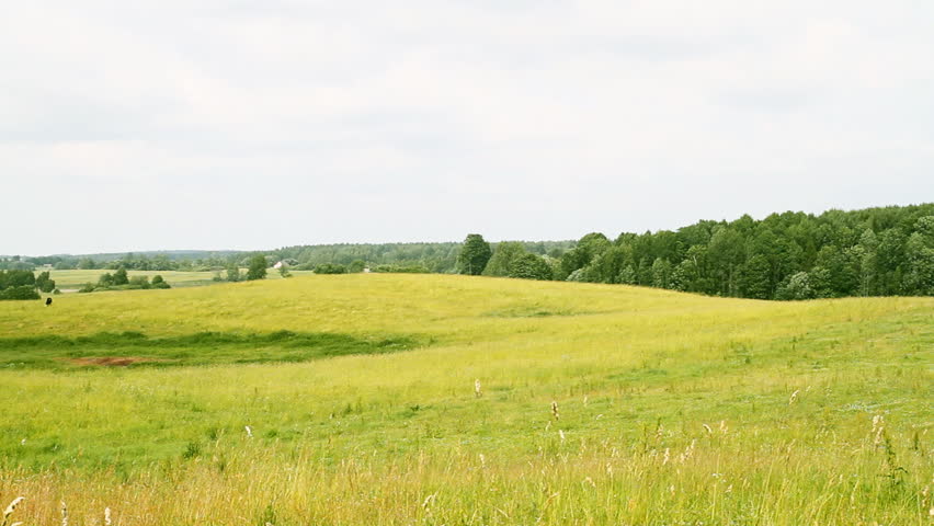 rural landscape, panorama