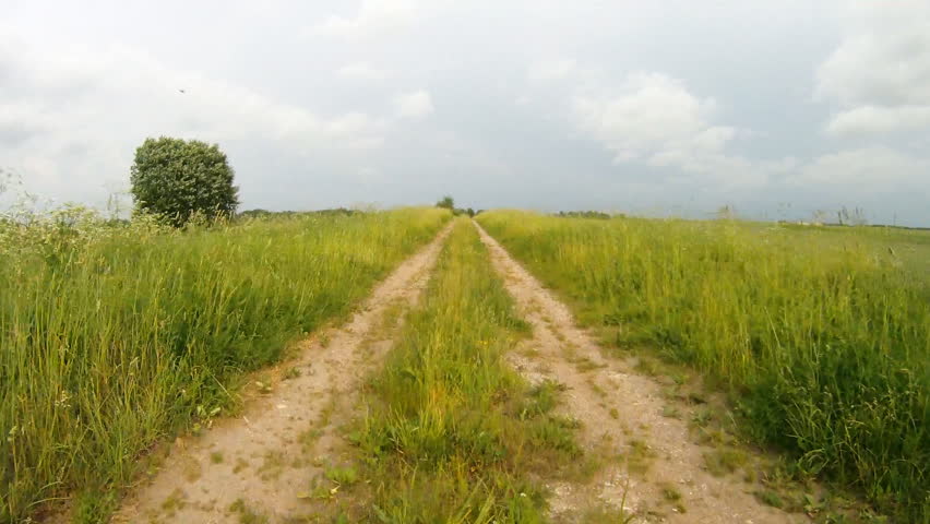 road through the meadow