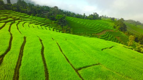 Rice Terraces Aerial Shot at north of Thailand. 4K