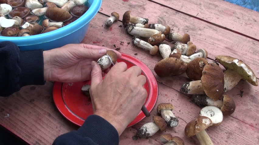 Как правильно чистить грибы видео. Белый гриб зачистка. белые грибы чистятся. грибы после чистки.