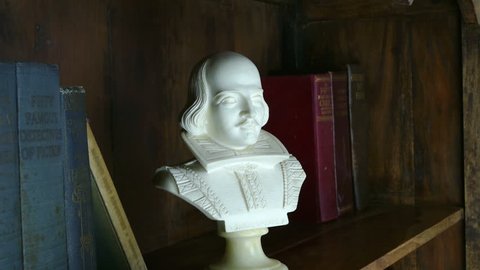 Jib shot of a Shakespeare bust in a wooden bookcase with old books on shelves.