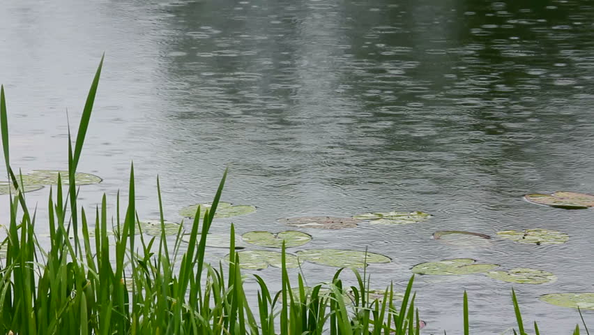 lake and rain