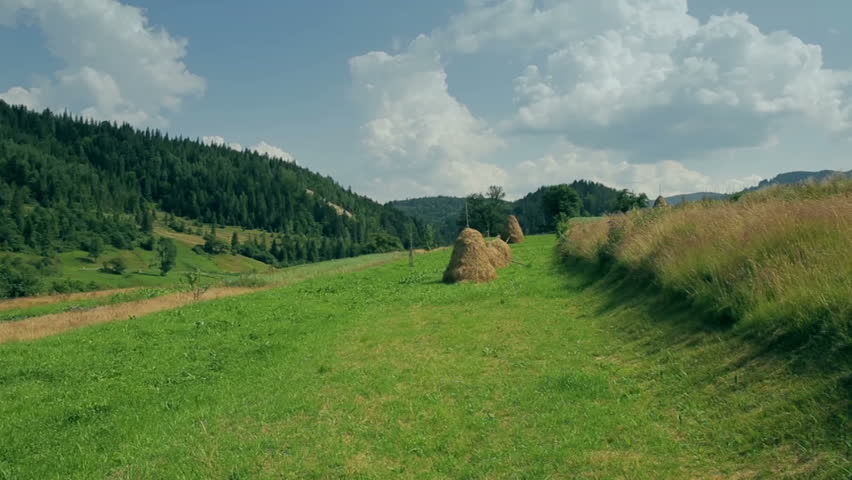 Ordinary Carpathian landscape with haystacks. Cloudly sky.