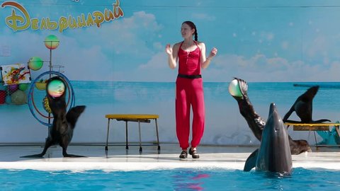 This is a shot captured at Crimean dolphinarium - three seals holding balls in their tails and dancing together with their trainer and one dolphin swimming in water.
