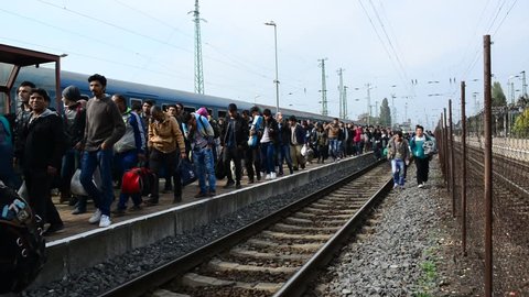 Big group of refugees leaving Hungary and going into Austria. They came to Hegyeshalom by train. These refugees are from Syria, Iraq and Afghanistan. October 6, Hegyeshalom, Hungary