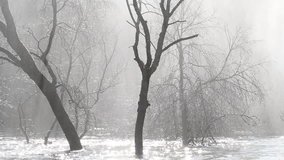 River,  trees and waterfall
fog, trees, river, sunbeam - Powered by Shutterstock - Get 15% off with code: PIKWIZARD15