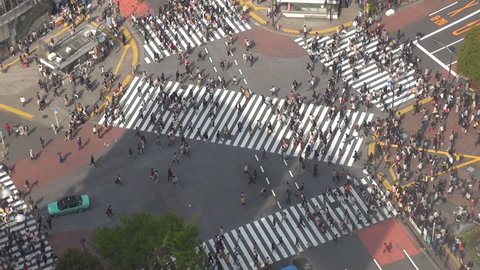 Aerial view of pedestrian people cross busy Shibuya crossing road in Tokyo by day