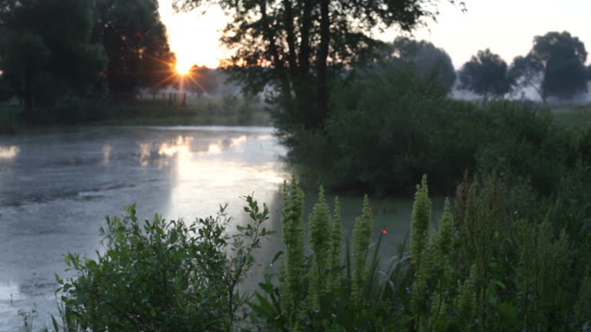 Fog. The wood river.