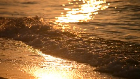 beautiful golden waves run on the beach close-up at sunset, dawn