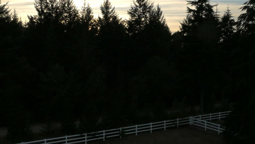 Aerial views of trees in a forest with mountain sunset background.
Key Peninsula area of Washington state, July 2014.