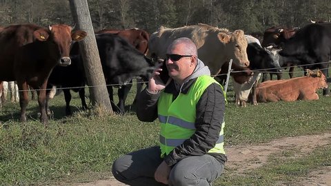 Farmer talking on smartphone near cows