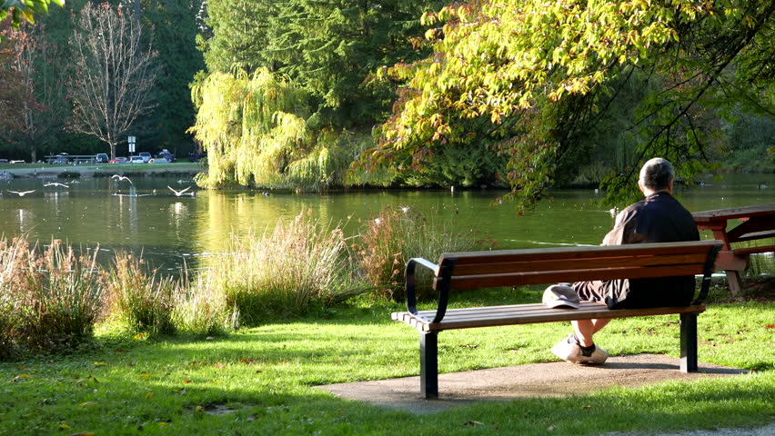 Burnaby, BC, Canada - October 16, 2015 : People relaxing and watching view on bench with 4k resolution