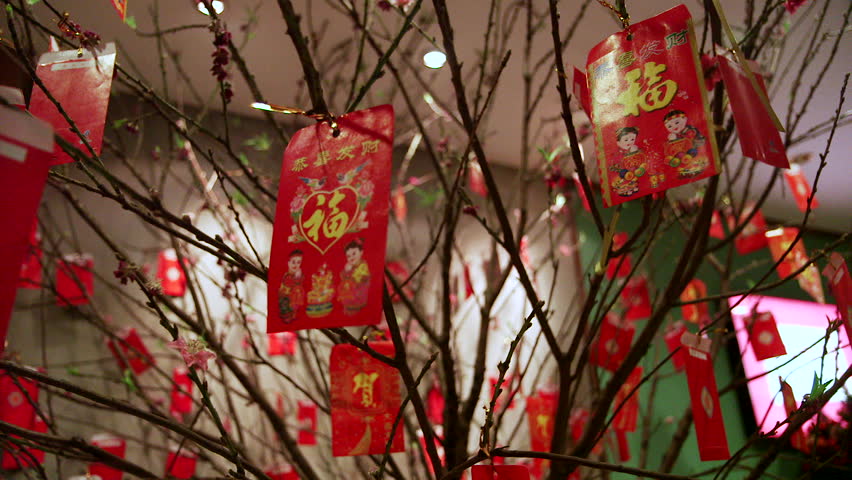 chinese new year money tree