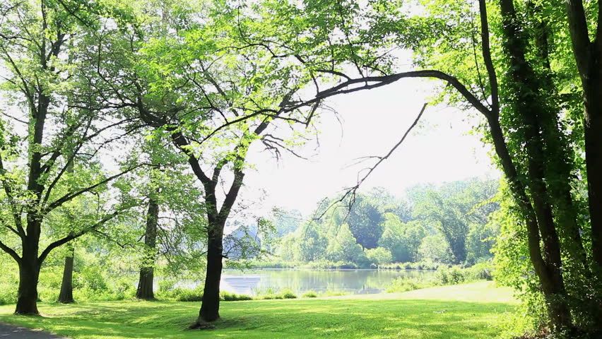 Spring Lakes