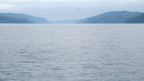 Large body of water with mountains in the background as bird flys by